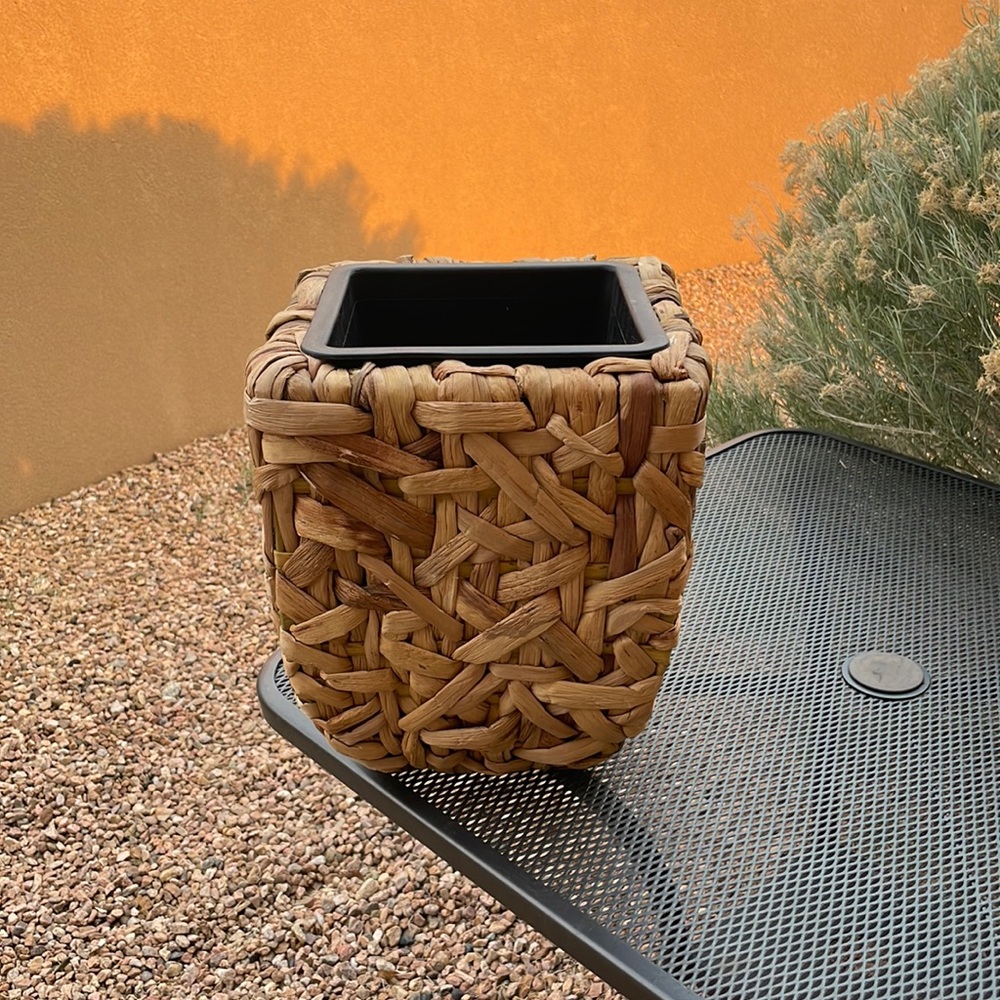 Planter or dust bin!